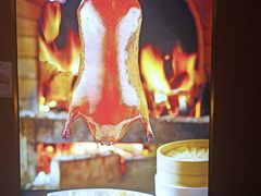 -宏宴·新京菜(望京店)