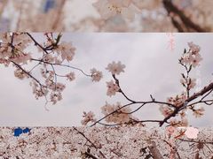 -西北湖绿化广场