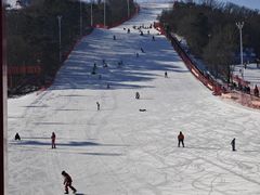 -东北亚滑雪场