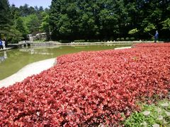 -庐山风景区花径公园
