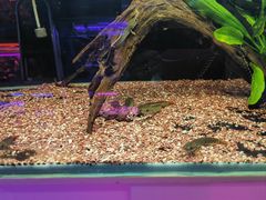 -三旗百汇商品城