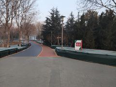 -大兴滨河森林公园