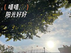 -新世界餐厅(万达店)