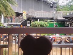 -圣淘沙天际线斜坡滑车