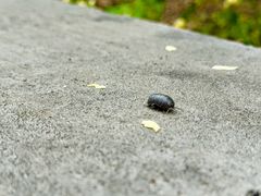 -黄兴公园
