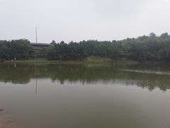 -南京市无想山景区