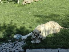 -北京野生动物园