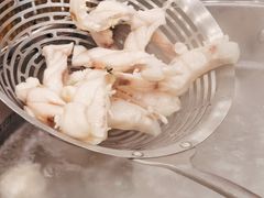 -正能量脆肉鲩火锅