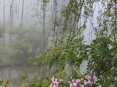 -蜀南竹海景区