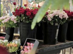 -良友花店(天目山路店)