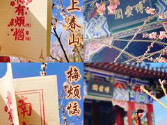 -梅花山(明孝陵内)