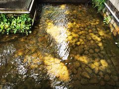 -老门东历史文化街区