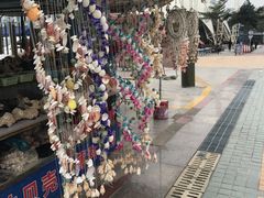 -澳门环岛游湾仔码头