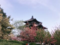 -西安青龙寺遗址景区