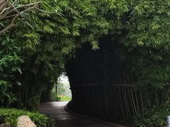 -白鹭洲公园