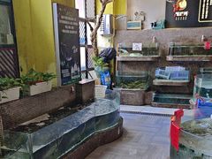 -黄泥岗·地道湖北菜(奥特莱斯店)