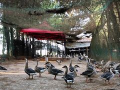 -鄱阳湖国家湿地公园