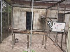 -合肥野生动物园