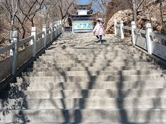 -石老人观光园