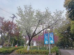 -重庆平顶山公园
