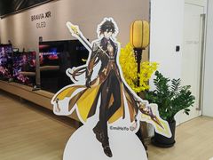 -Sony Store 索尼(来福士店)