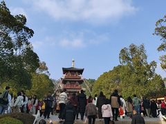 -庐山风景名胜区-东林大佛