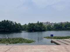 -新江湾城公园
