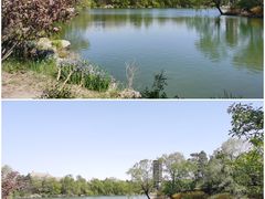 -麦隆咖啡(北大店)