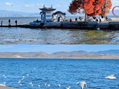-大理洱海
