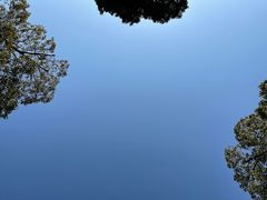 -苏州东太湖生态园