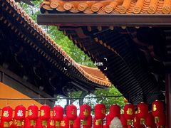 -亭林园-华藏寺