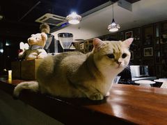 -咖法森林·咖啡  酒吧(天河店)