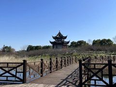 -上海海湾国家森林公园