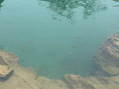 -靖西鹅泉风景区