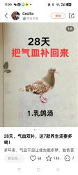-雅曼妮spa美容养生