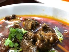 红烧排骨-顺庆羊肉馆(南坪店)
