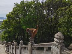 -苏州上方山国家森林公园