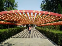 -大槐树寻根祭祖园