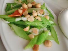-云中小雅