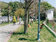 -红山村