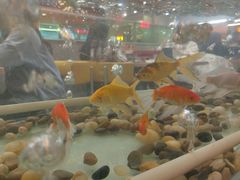 -令狐冲烤鱼·烧菜馆(达明店)