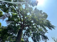 -天津盘山风景名胜区