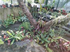 -国家植物园南园