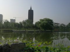 -西海子公园