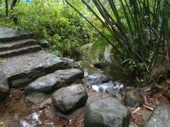 -羚羊峡古栈道森林公园