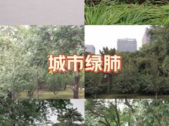 -元大都城垣遗址公园