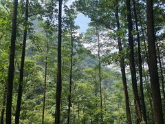 -藏龙百瀑风景区