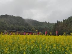 -常德桃花源景区