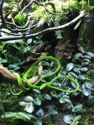 -酷嗒动物文化乐园(cutezoo西溪乐天城店)