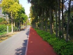 -上海长兴岛郊野公园